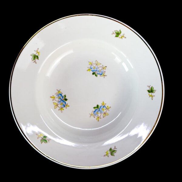 Gludās zupas šķīvji ar zilām puķēm