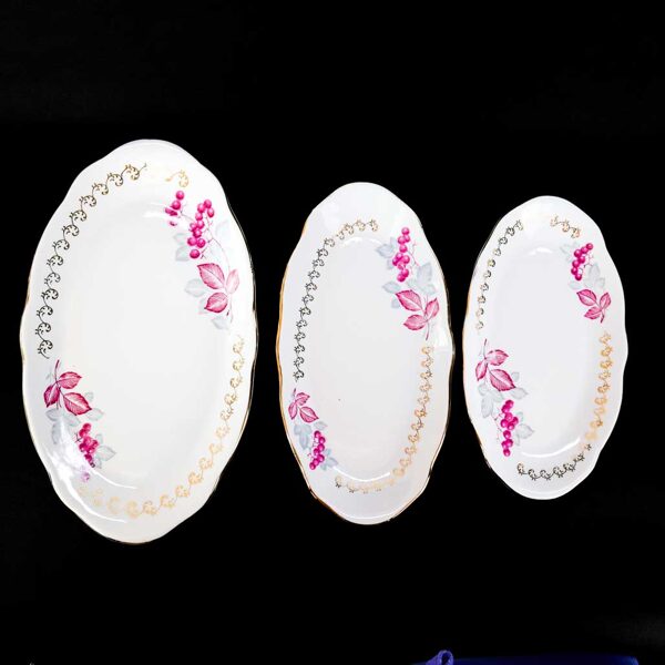 Ovālie servējamie šķīvji ar rozā ogām